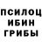 Псилоцибиновые грибы ЛСД Sebastian Garcia