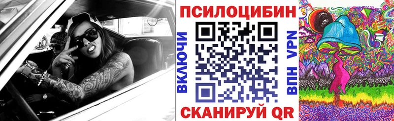 дарк нет официальный сайт  Людиново  Галлюциногенные грибы прущие грибы 